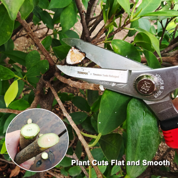 ONMA Garden Scissors MADE IN KOREA 7.5" Pruning Shears with Comfort Grip, Multipurpose Pruners Garden Snips for Gardening with Sharp Double-Layer Hard Chrome-Plated Stainless Blade Work Like a Dream(TD-300) - Image 6