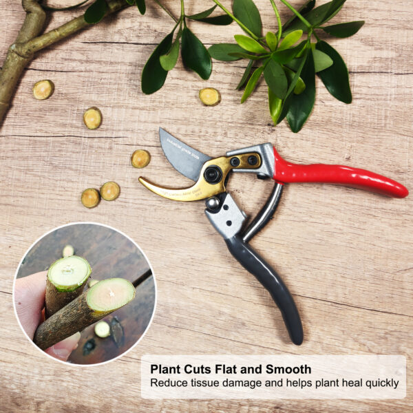 TONMA Bypass Pruning Shears [Made in Japan] 8 Inch Heavy Duty Garden Shears for Gardening, Professional Hand Pruners Garden Clippers with Japanese SK4 Steel Blades, Ergonomic Non-Slip Grip(TP-10) - Image 5